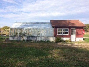greenhouse3