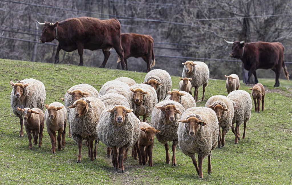 Photo courtesy of Kara Cerilli, 2026.